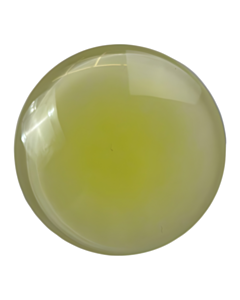 New Fashion Popsocket Grip Yellow