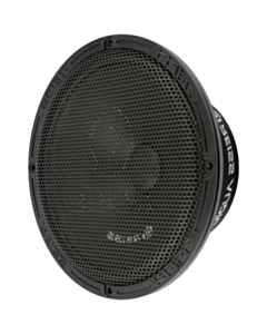 Avtomobil üçün dinamik Reiss RS-M62EX