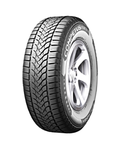 Шины для автомобиля Lassa Competus Winter 2+ 96V XL 225/45R19 (001.LS.214468)