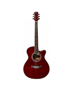 Akustik gitara Flight  F-230C WR