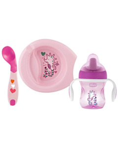Qab-qacaq dəsti Chicco 00016200110000
