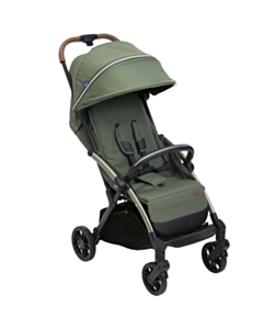 Детская коляска Chicco Goody Xplus Twinkle 00087040380000