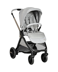 Детская коляска Chicco Bellagio 00087136400000