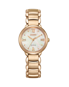 Saat Citizen Eco Drive EM0929-81Y