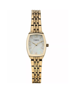 Часы Timex TW2Y22400