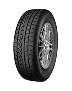 Petlas Snowmaster W651 91H TL 195/65R15 (001.PT.21750)