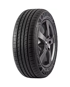 Davanti DX390 95H XL 195/55R20 (001.DV.505441)