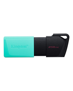 Kingston 256 GB Flash USB Data Travel USB 3.2 Gen1 DTXM