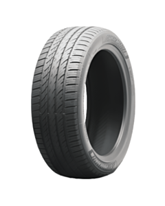 Nankang NS-25 A/S 101V XL M+S 225/55R17