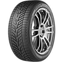 Шина для автомобиля Yokohama BluEarth Winter V905 107W 275/40R21 1
