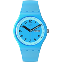 Часы Swatch SO29S702