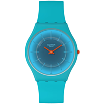 Часы Swatch Skin SS08N114
