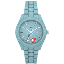Saat Timex TW2V53200