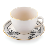 Çay üçün fincan dəsti Schafer Atlas 2 parça 8699131860328 