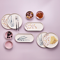 Столовый сервиз Schafer Sunny 10 предметов Розовый 8699131772829