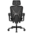 Gaming Chair COUGAR Speeder Black