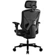 Gaming Chair COUGAR Speeder Black