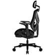 Gaming Chair COUGAR Speeder Black