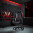 Gaming Chair AndaSeat Luna AD18-44-BR-PV Black, Red