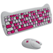 Клавиатура Canyon Combo Pink CNS-HSETW6PK