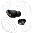 Наушники Beats Studio Buds + MQLH3 Black Gold