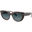 Günəş eynəyi Ray-Ban RB2286POL 1413S3