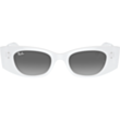 Günəş eynəyi Ray-Ban RB4427 675911