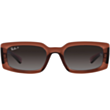 Günəş eynəyi Ray-Ban RB4395POL 54 U 6678T3