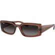 Günəş eynəyi Ray-Ban RB4395POL 54 U 6678T3