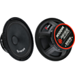 Avtomobil üçün dinamik Reiss RS-M10DM