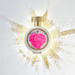 Qadın parfümü HFC Paris Wear Love Everywhere EDP 75 ml HFCWLE75
