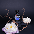 Qadın parfümü HFC Wrap Me In Dreams EDP 75 ml GFCWMD75