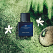Uniseks parfüm Thameen Green Pearl EXDP 50 ml GP50EDP1E