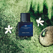 Uniseks parfüm Thameen Green Pearl EXDP 100 ml GP100EDP1