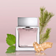 Kişi parfümü Calvin Klein Euphoria EDT 100 ml 88300178278