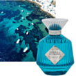 Uniseks parfüm Bohemia Un Jour A St Tropez EXDP 100 ml PCBO08
