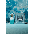 Uniseks parfüm Bois 1920 Marasma EXDP 50 ml PCBOIS06 