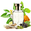 Uniseks parfüm Bois 1920 Parana EDP 100 ml PCBOIS12 