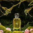 Qadın parfümü Michael Cinco M1 EDP 100 ml PCMCM1