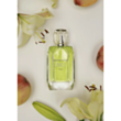 Qadın parfümü Michael Cinco M3 EDP 100 ml PCMCM3 