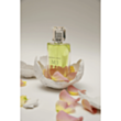 Qadın parfümü Michael Cinco M3 EDP 100 ml PCMCM3 