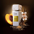 Qadın parfümü Gritti Gossip Night EDP 100 ml DGB00628