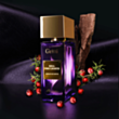 Uniseks parfüm Gritti Kill The Lights EXDP 100 ml DGE00684