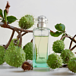 Uniseks parfüm Hermes Un Jardin Sur Le Nil EDT 100 ml 3346138900087