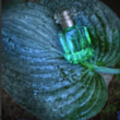 Uniseks parfüm Hermes Un Jardin Sur Le Nil EDT 100 ml 3346138900087