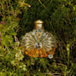 Qadın parfümü Lalique Soleil Vibrant EDP 100 ml II12201