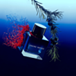 Kişi parfümü Lalique Encre Indigo EDP 50 ml MM13200