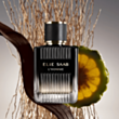 Kişi parfümü Elie Saab L'Homme EDP 100 ml 4602610