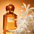 Женский парфюм Chopard Jasmin Malika EDP 100 мл 471910