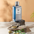 Kişi parfümü Bentley Momentum Unlimited EDT 100 ml B160508
